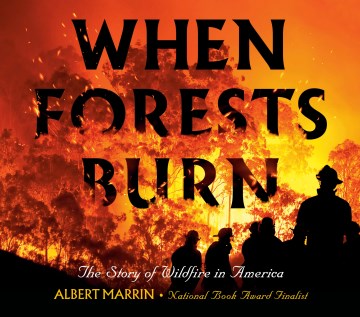 When forests burn - the story of wildfires in America