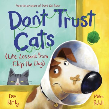 Don't trust cats - life lessons from Chip the dog