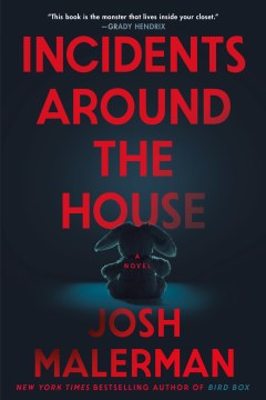 Incidents around the house - a novel