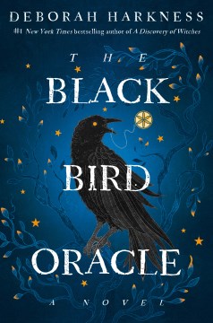 The black bird oracle - a novel