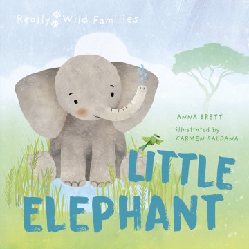 Little Elephant - A Day in the Life of a Litlte Elephant