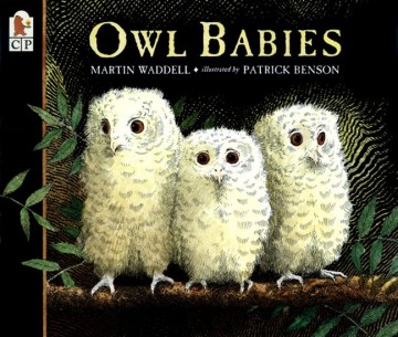 title - Owl Babies