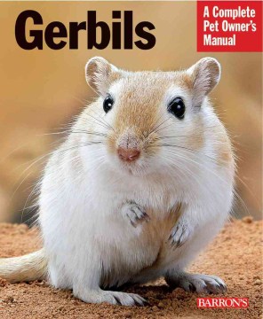 Gerbils: Everything About Purchase, Care, and Nutrition