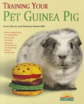 Training Your Guinea Pig