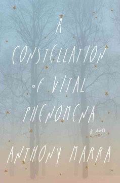 2004-CE:-A-Constellation-of-Vital-Phenomena