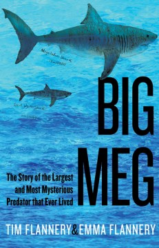 Big meg - the story of the largest and most mysterious predator that ever lived