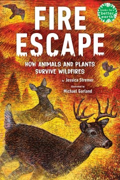 Fire escape - how animals and plants survive wildfires