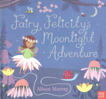 Fairy Felicity's moonlight adventure