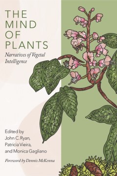 The mind of plants - narratives of vegetal intelligence