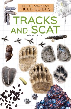 Tracks and scat