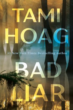 Bad liar - a novel