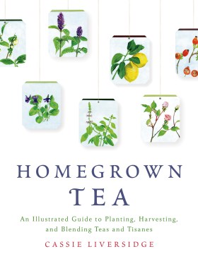 Homegrown Tea : An Illustrated Guide to Planting, Harvesting, and Blending Teas and Tisanes 