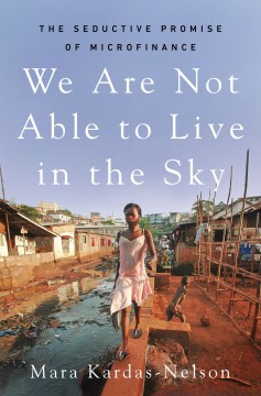 We are not able to live in the sky - the seductive promise of microfinance