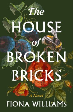 The house of broken bricks - a novel