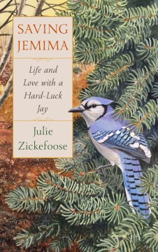 Saving Jemima : life and love with a hard-luck jay