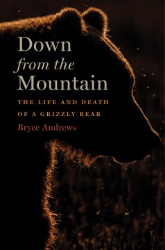Down from the mountain : the life and death of a grizzly bear