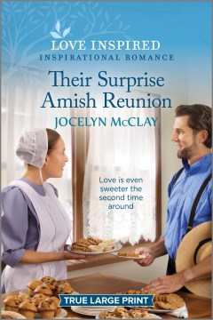 Their Surprise Amish Reunion