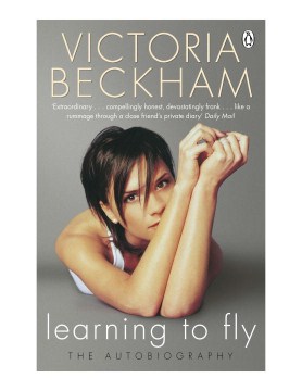 Learning to fly- the autobiography