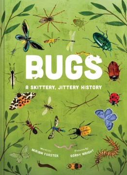Bugs - a skittery, jittery history