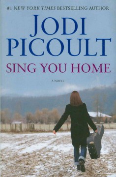 Sing-you-home-:-a-novel