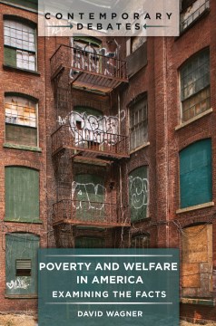 Poverty and Welfare in America: Examining the Facts