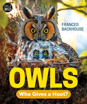 Owls - Who Gives a Hoot?