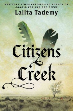 Citizens Creek 