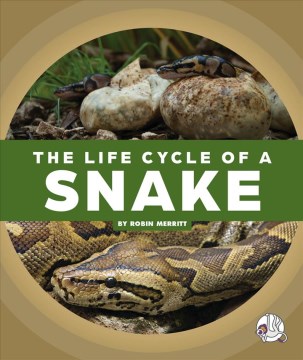 The life cycle of a snake