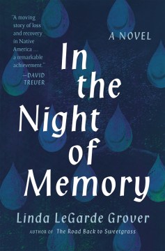 In the night of memory : a novel