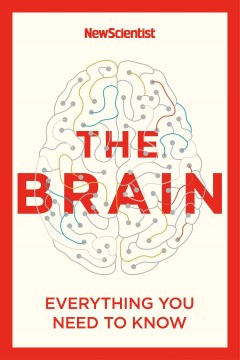 The Brain - Everything You Need to Know
