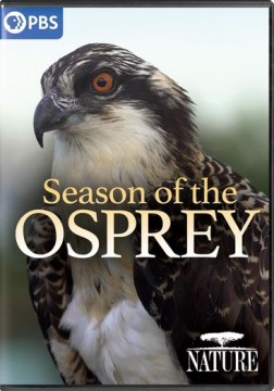Nature- Season of the Osprey