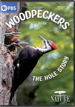 Woodpeckers - the hole story