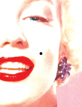Beauty mark : a verse novel of Marilyn Monroe