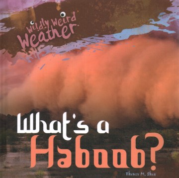 What's a haboob?