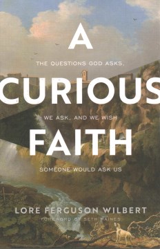 A curious faith - the questions God asks, we ask, and we wish someone would ask us
