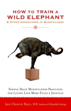 Cover image for `How to Train a Wild Elephant : and Other Adventures in Mindfulness`