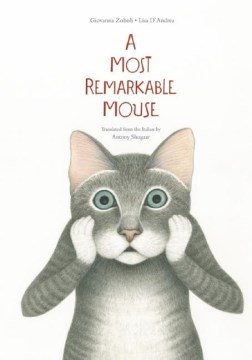 Book Cover: A Most Mysterious Mouse