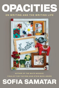 Opacities - on writing and the writing life