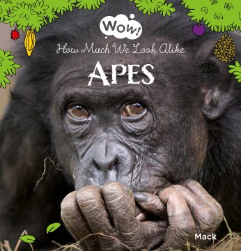 Apes - how much we look alike