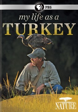 Nature- My Life As a Turkey