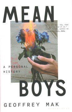 Mean boys - a personal history