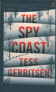The spy coast - a thriller