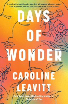 Days of wonder - a novel
