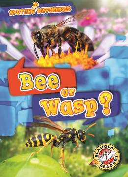 Bee or wasp?