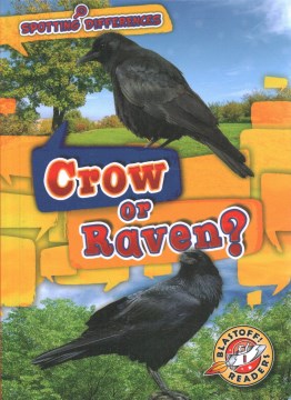 Crow or raven?