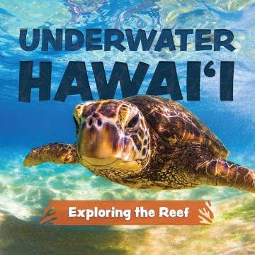 Underwater Hawaii - Exploring the Reef - A Children's Picture Book About Hawaii