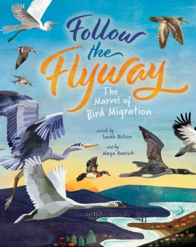 Follow the flyway - the marvel of bird migration