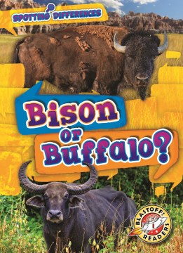 Bison or buffalo?