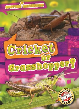 Cricket or grasshopper?