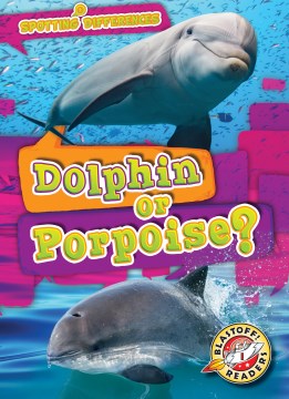Dolphin or porpoise?